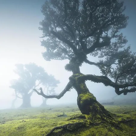 Caminho Real Room Vendégház *